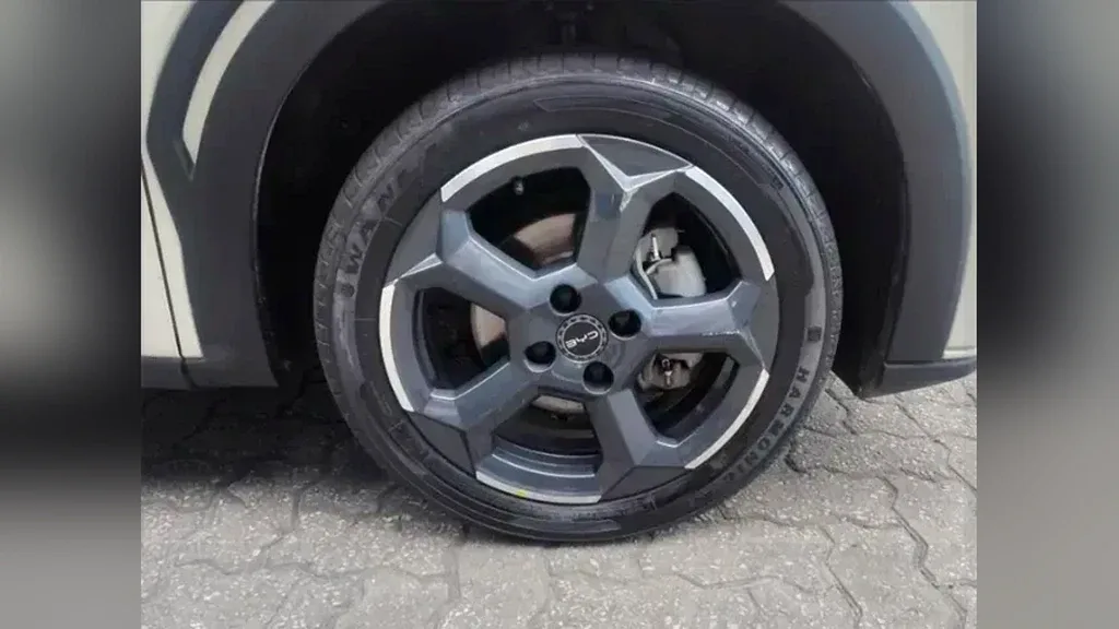 BYD Dolphin Mini - Imagem 14