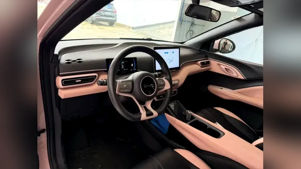 BYD Dolphin Mini - Imagem 9