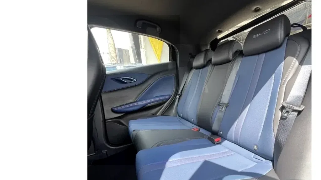 BYD Dolphin Mini - Imagem 15