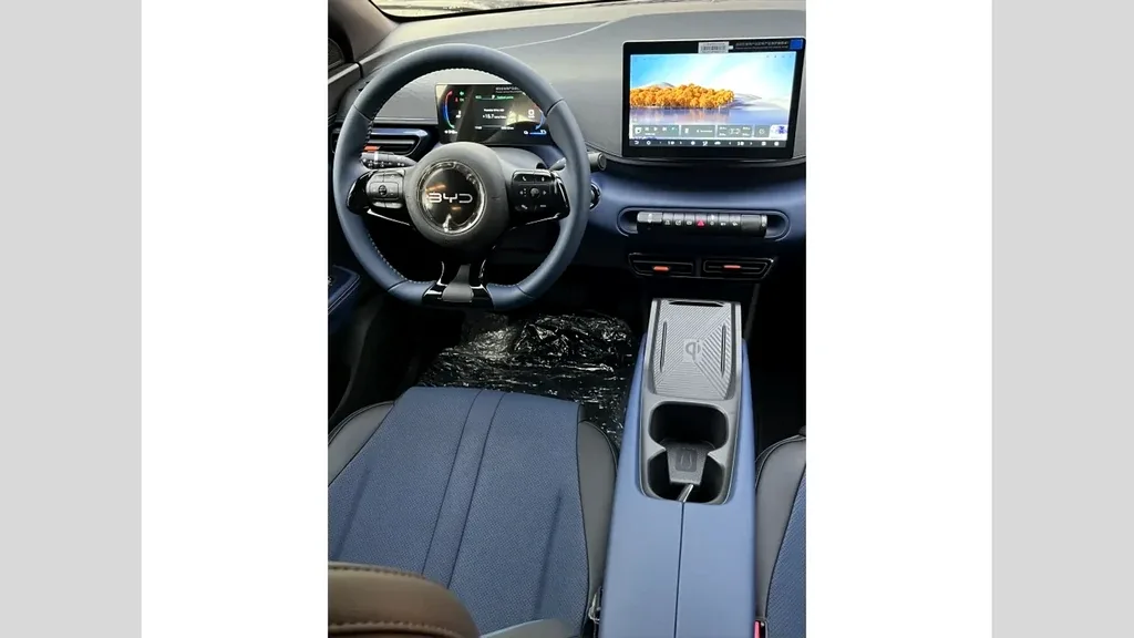 BYD Dolphin Mini - Imagem 10