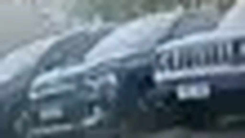 BYD Yuan Plus - Imagem 16