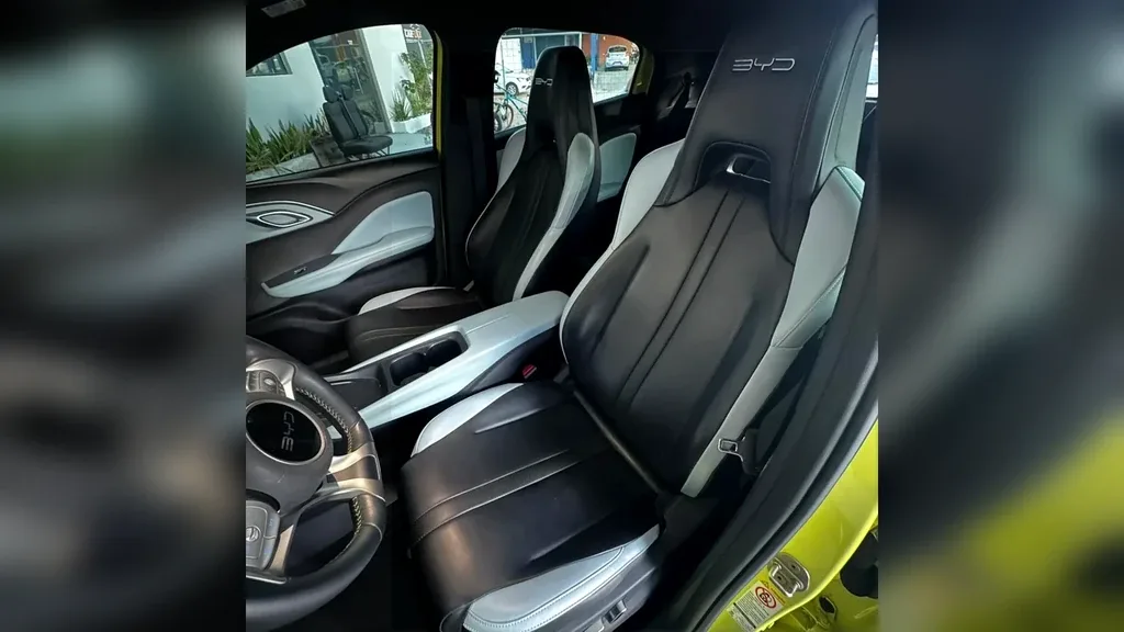 BYD Dolphin Mini - Imagem 10