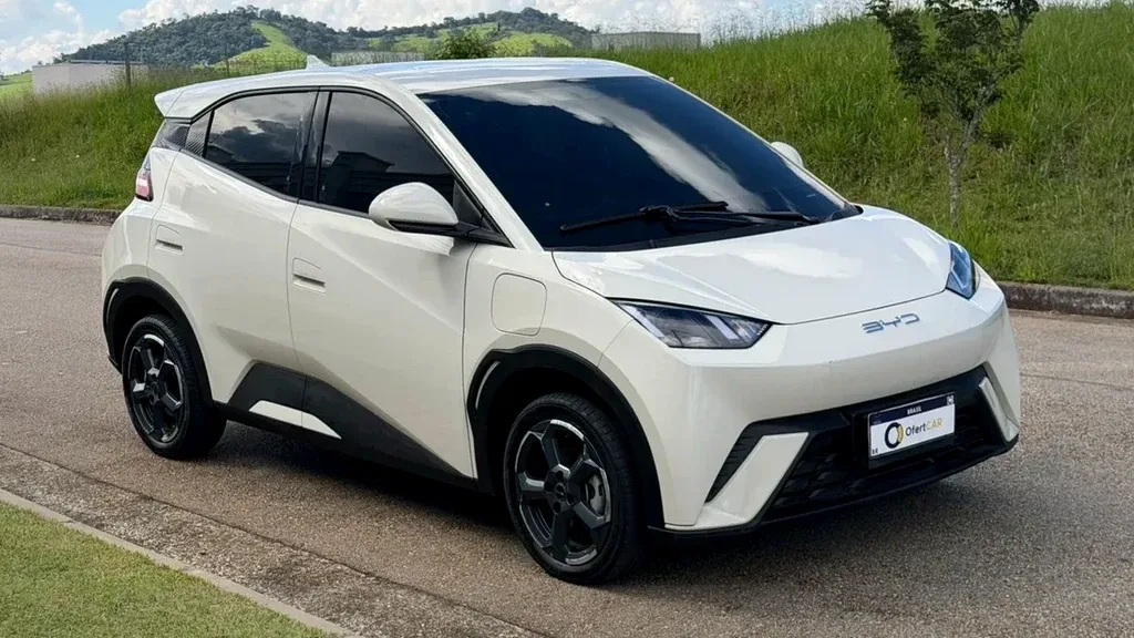 Foto de um byd dolphin mini