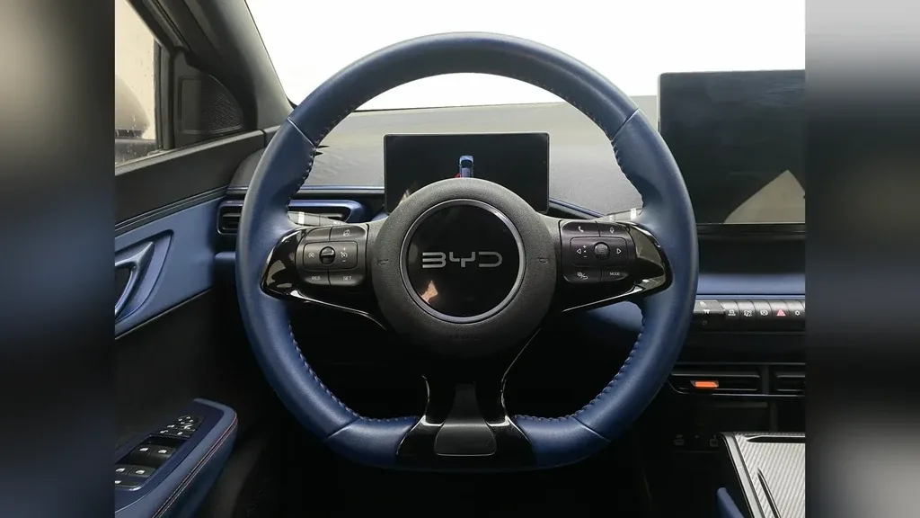 BYD Dolphin Mini - Imagem 12
