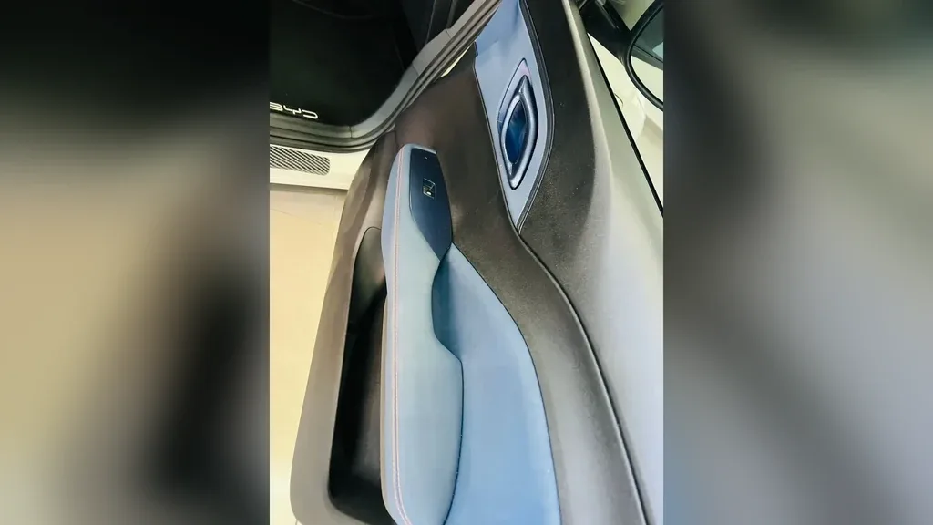 BYD Dolphin Mini - Imagem 11