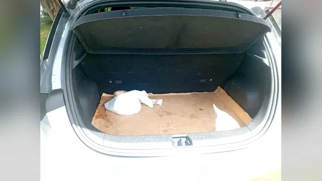 BYD Dolphin - Imagem 14