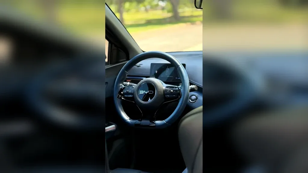 BYD Dolphin Mini - Imagem 8