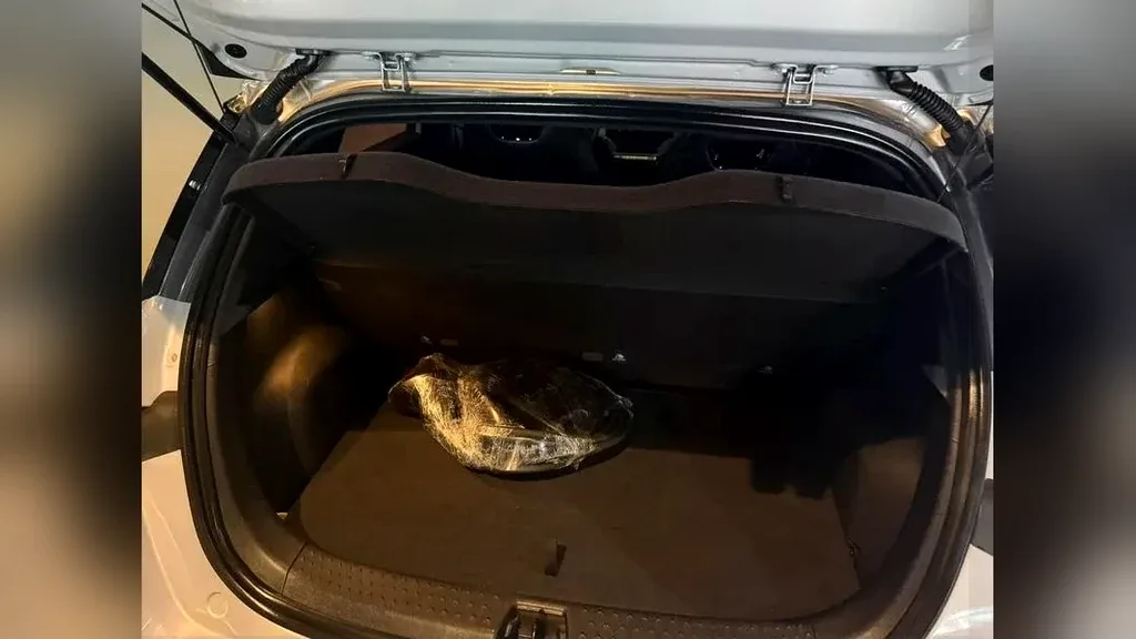 BYD Dolphin Plus - Imagem 14