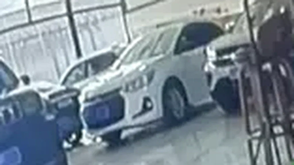 BYD Dolphin - Imagem 8