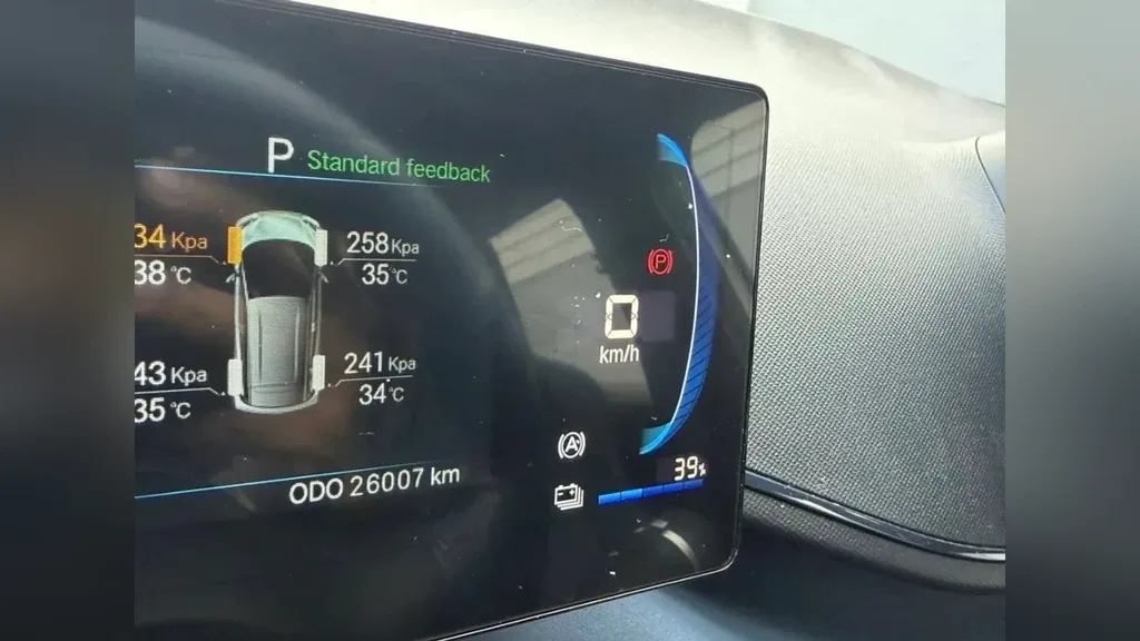 BYD Dolphin Mini - Imagem 4