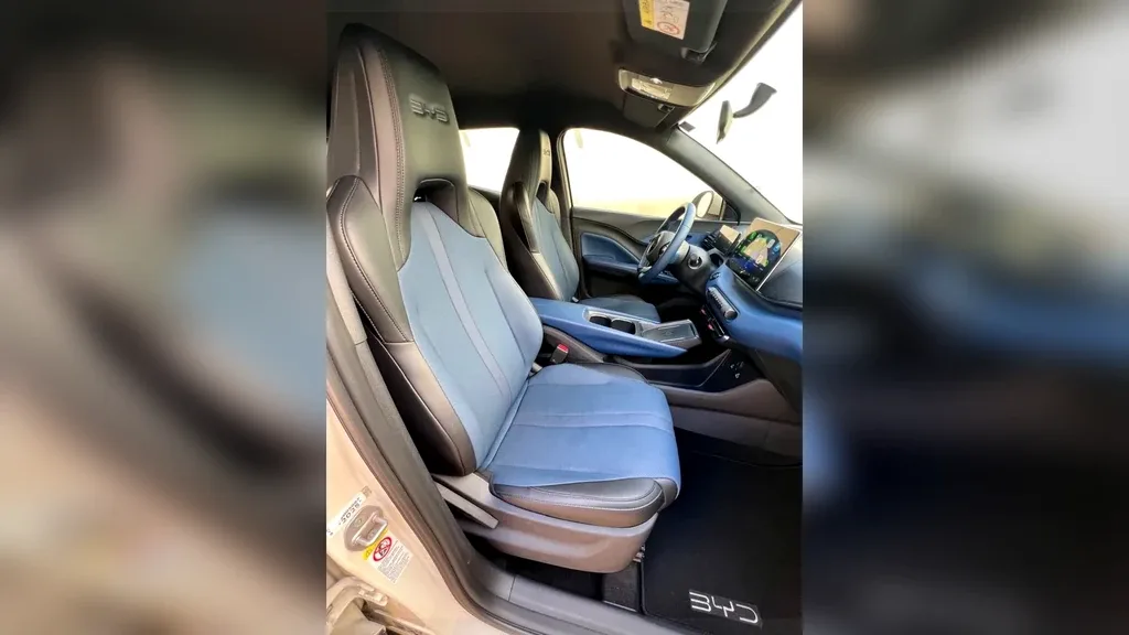 BYD Dolphin Mini - Imagem 20