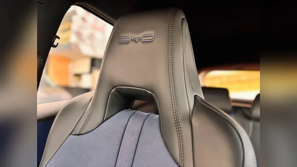 BYD Dolphin Mini - Imagem 15