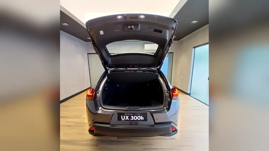 Lexus Ux 300e - Imagem 6