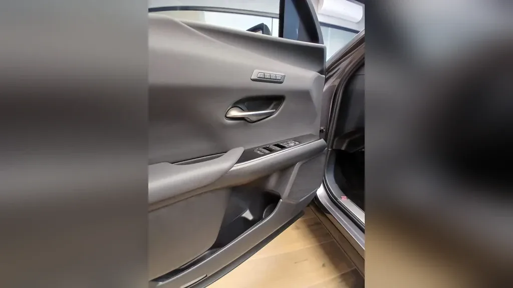 Lexus Ux 300e - Imagem 16