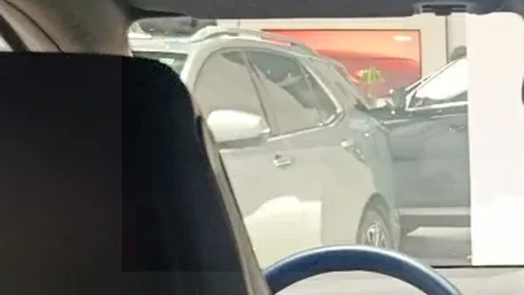 BYD Dolphin Mini - Imagem 10