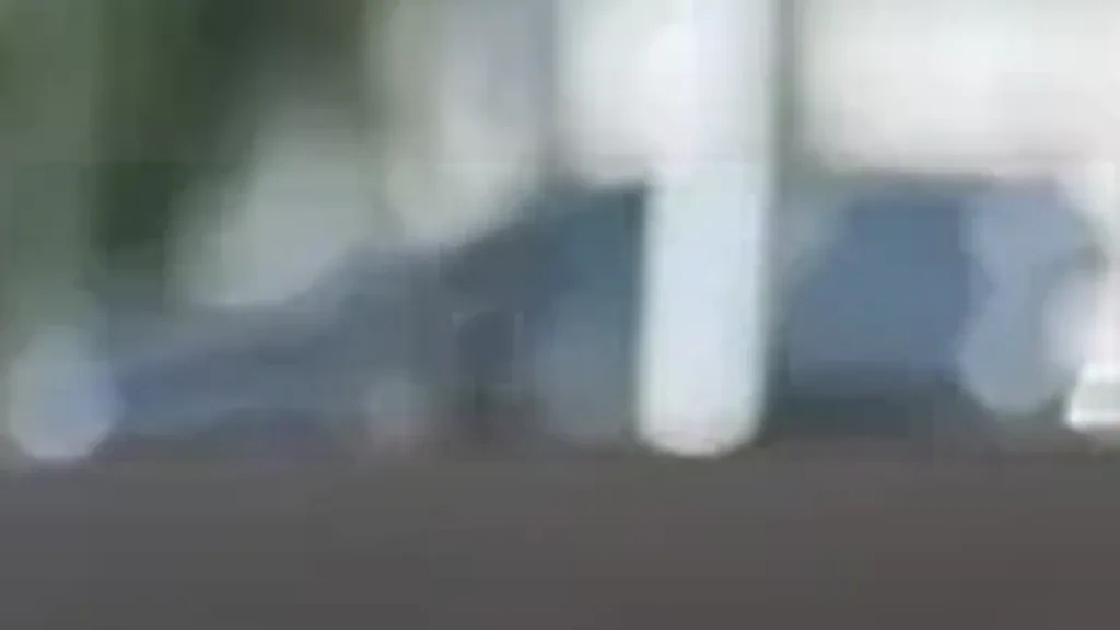 BYD Dolphin Plus - Imagem 10