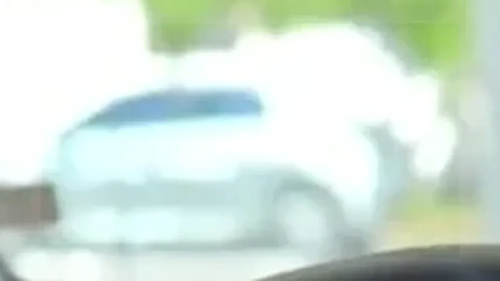 BYD Dolphin Plus - Imagem 12