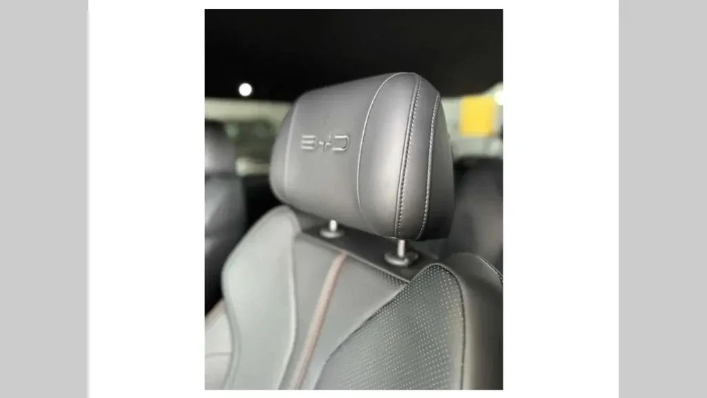 BYD Shark - Imagem 12