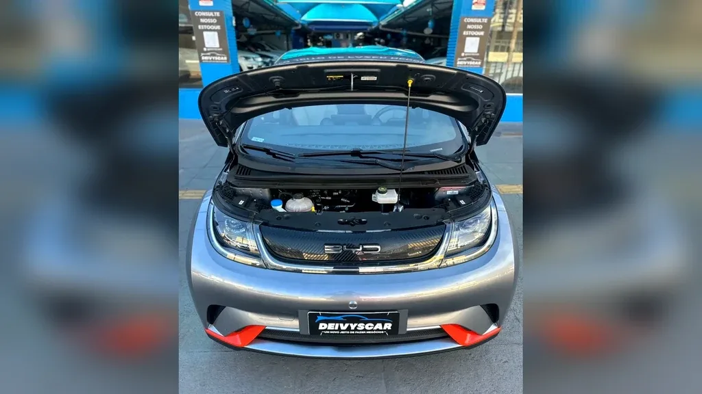 BYD Dolphin - Imagem 13