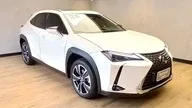 Lexus Ux 300e