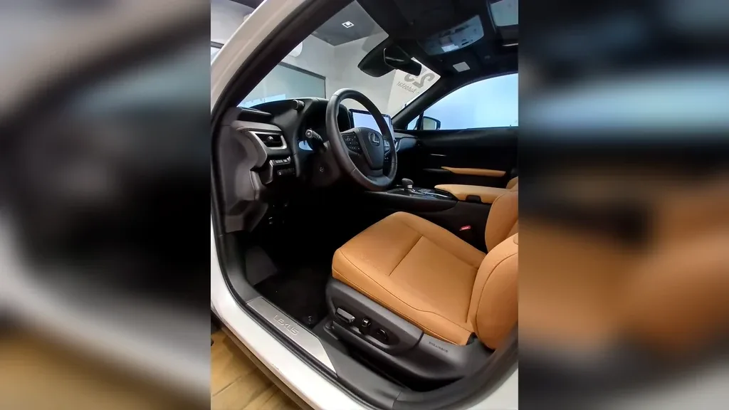 Lexus Ux 300e - Imagem 20