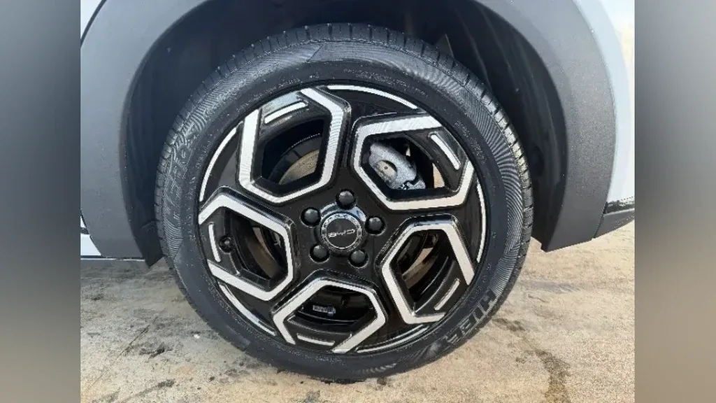 BYD Dolphin Plus - Imagem 12