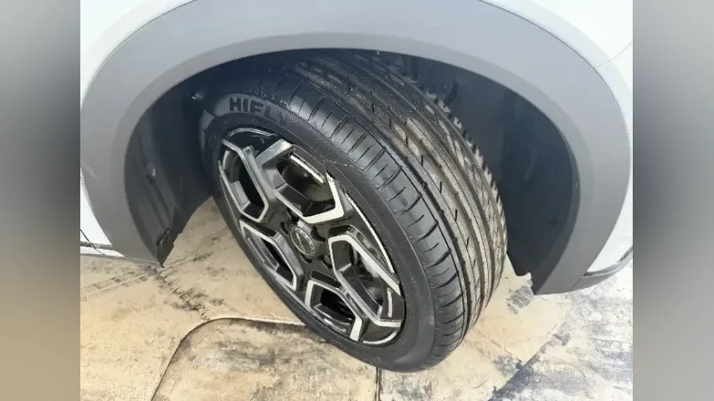 BYD Dolphin Plus - Imagem 13