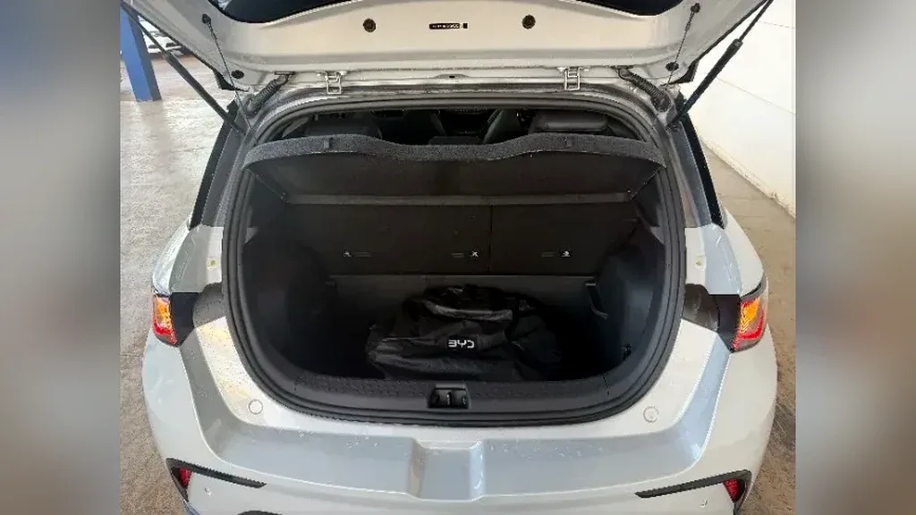 BYD Dolphin Plus - Imagem 16