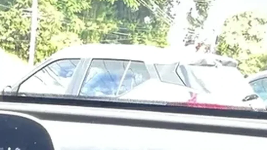 GWM Ora 03 - Imagem 9