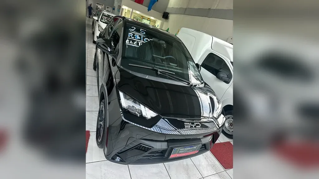 BYD Dolphin Mini - Imagem 16