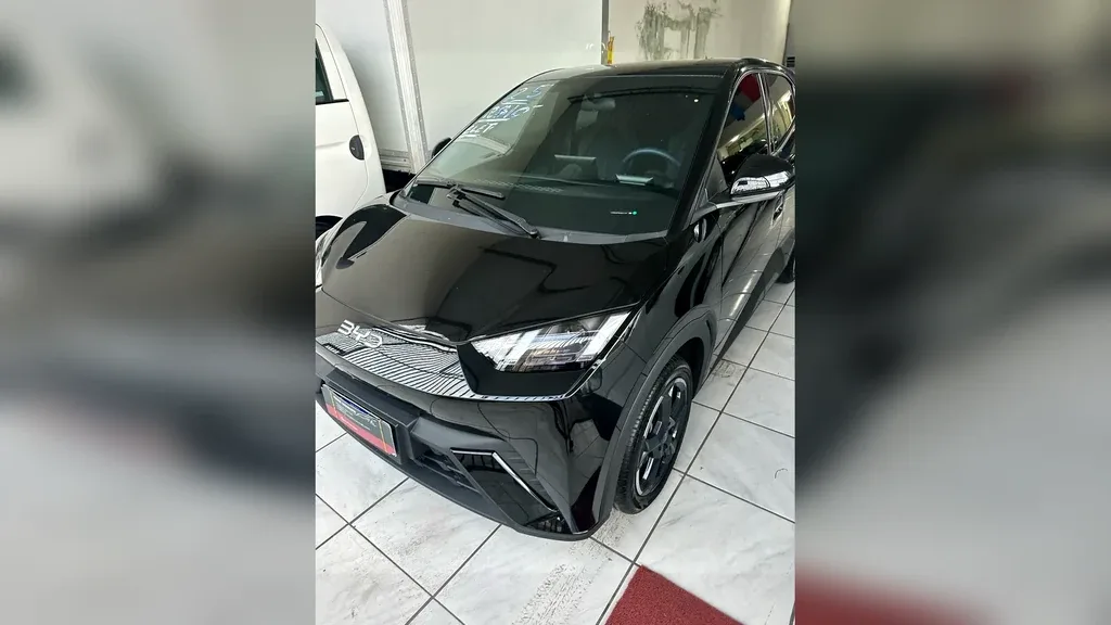 BYD Dolphin Mini - Imagem 19