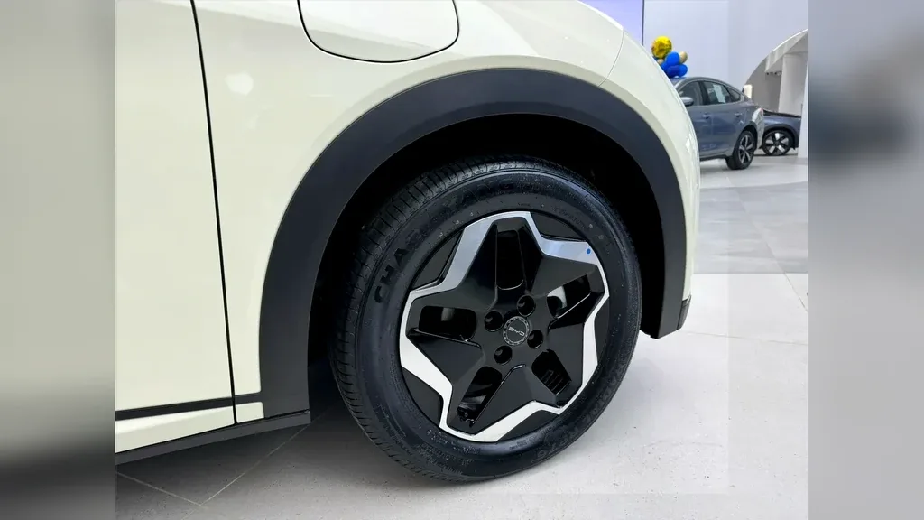 BYD Dolphin Mini - Imagem 5