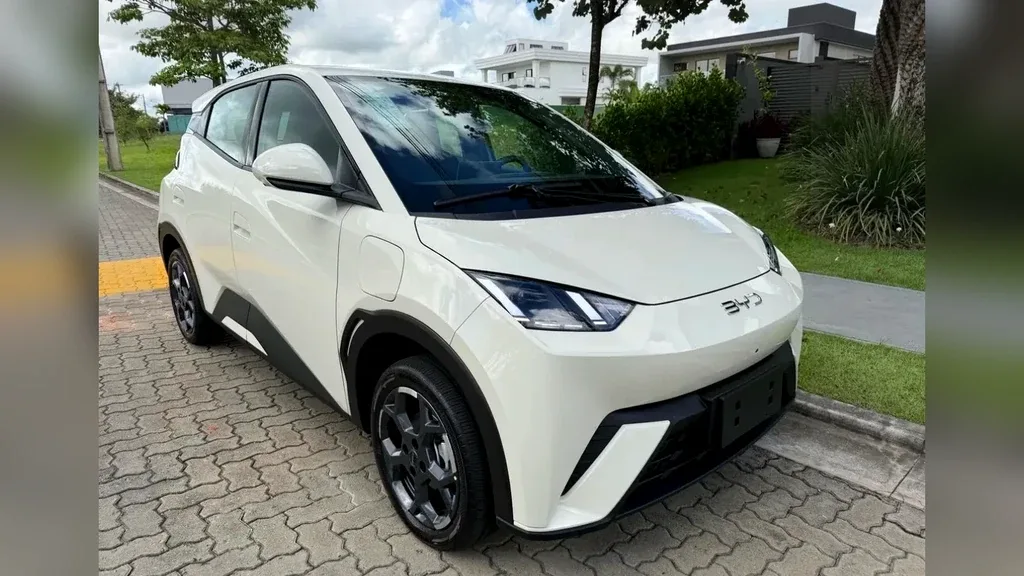 Foto de um byd dolphin mini