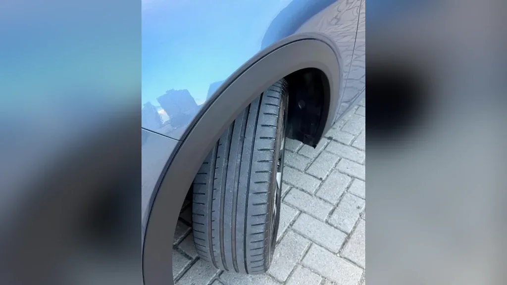 BYD Dolphin Plus - Imagem 4