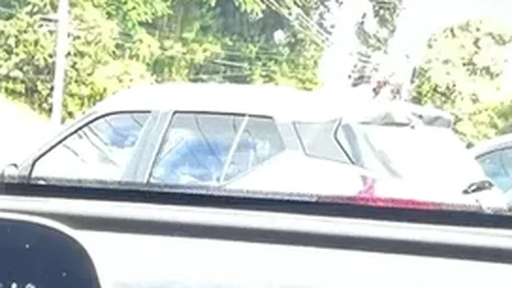 GWM Ora 03 - Imagem 10