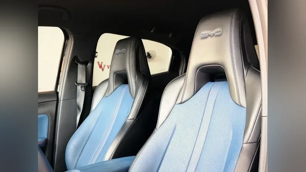 BYD Dolphin Mini - Imagem 6