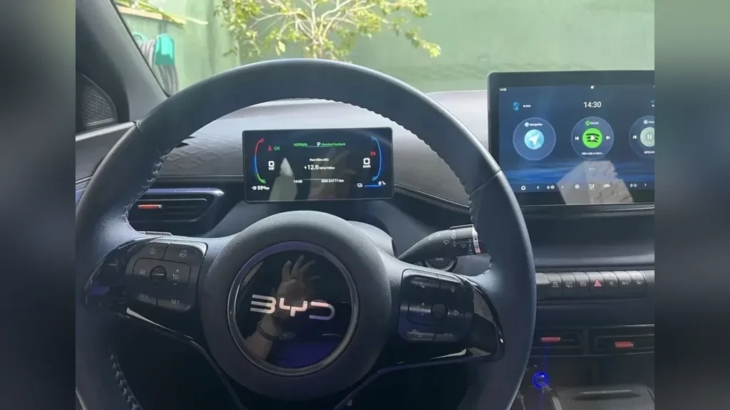 BYD Dolphin Mini - Imagem 12