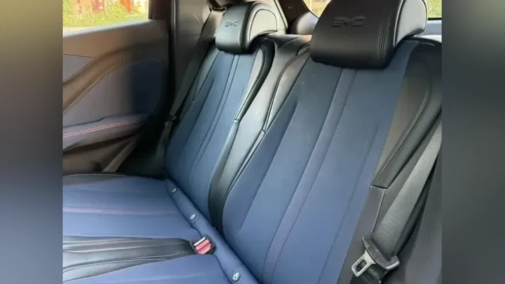 BYD Dolphin Mini - Imagem 10