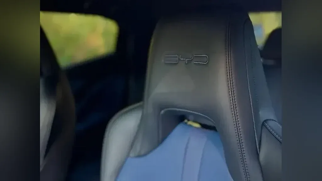 BYD Dolphin Mini - Imagem 12