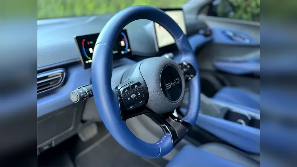 BYD Dolphin Mini - Imagem 10