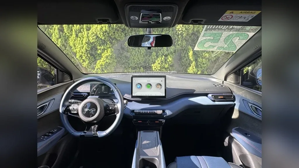 BYD Dolphin Mini - Imagem 13