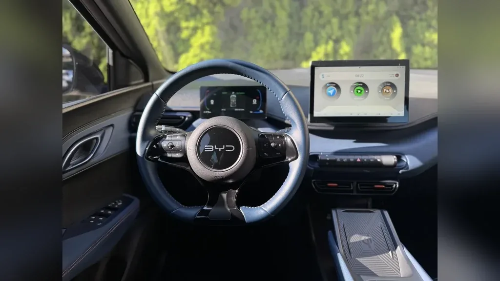 BYD Dolphin Mini - Imagem 14