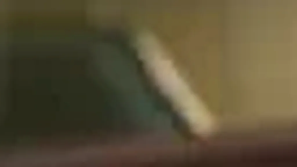 GWM Ora 03 - Imagem 14