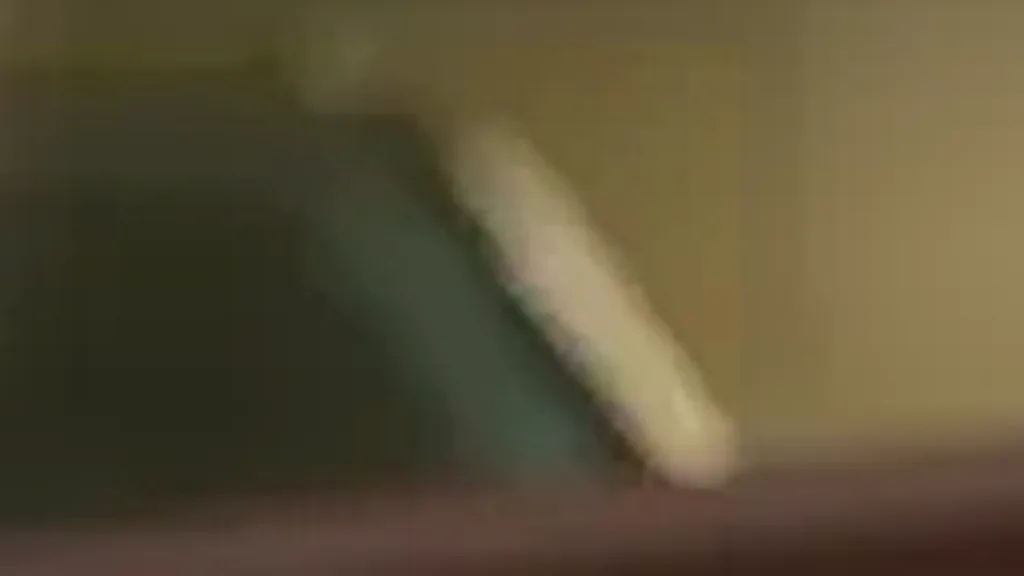 GWM Ora 03 - Imagem 11