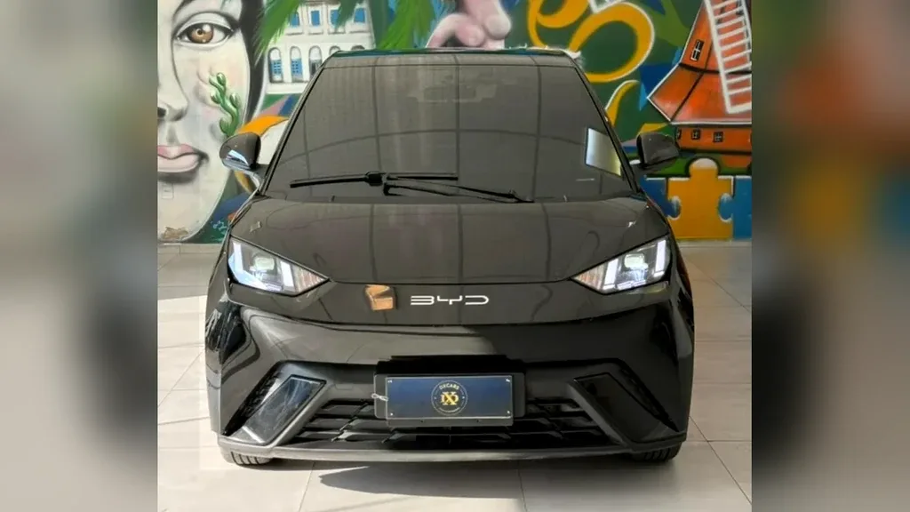 BYD Dolphin Mini - Imagem 2
