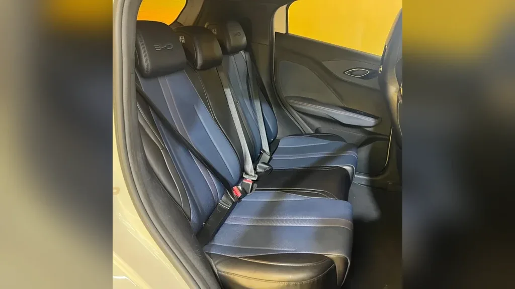 BYD Dolphin Mini - Imagem 10