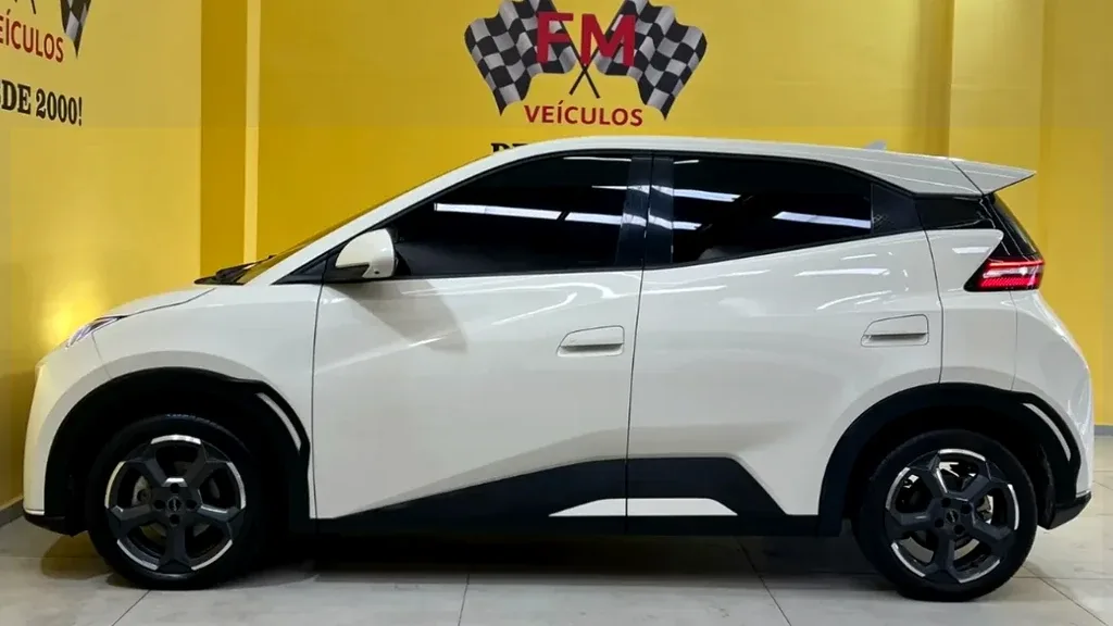 BYD Dolphin Mini - Imagem 12