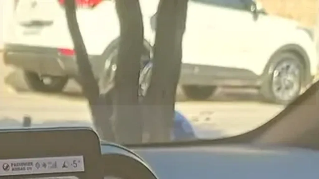 BYD Dolphin - Imagem 7