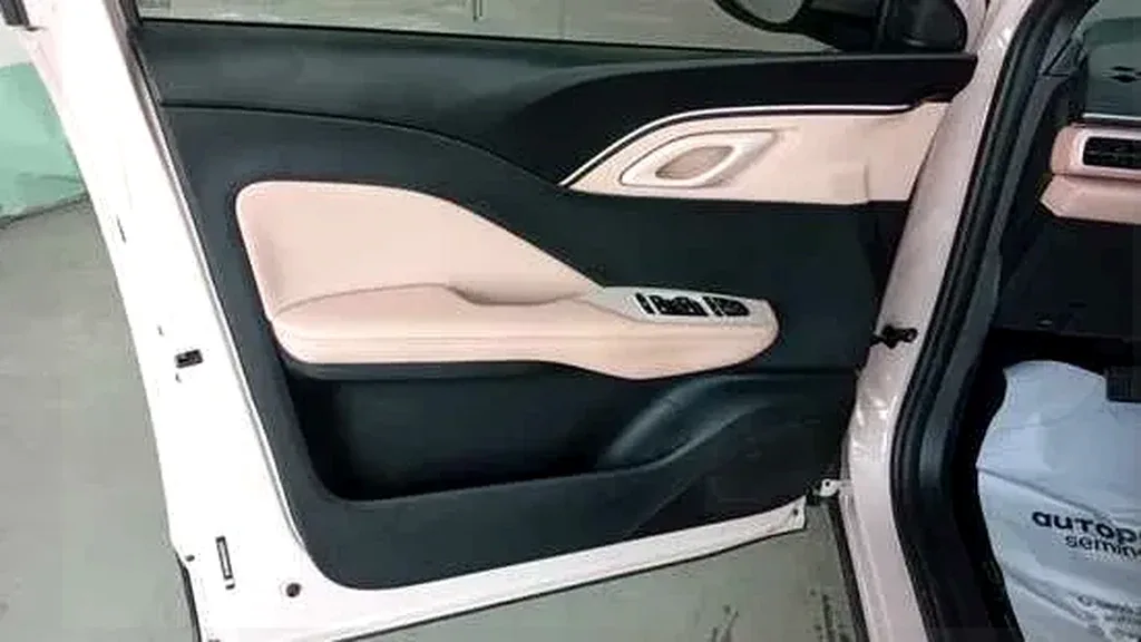 BYD Dolphin Mini - Imagem 10