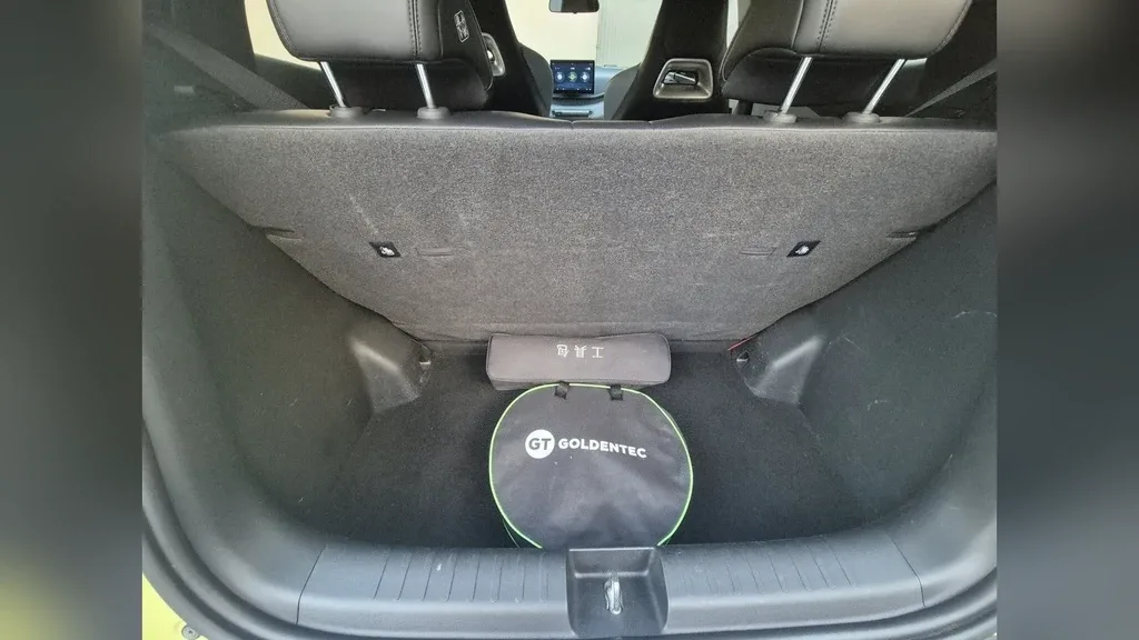 BYD Dolphin Mini - Imagem 12